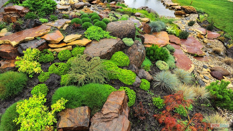 Альпийская горка большой площади с водоёмом и низкими растениями