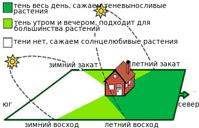 Как правильно поставить теплицу на участке по сторонам света фото и описание